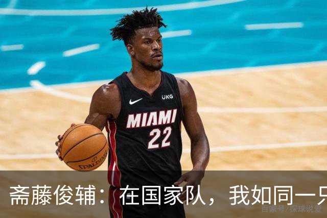 斋藤俊辅：在国家队，我如同一只渴望飞翔的小鸟